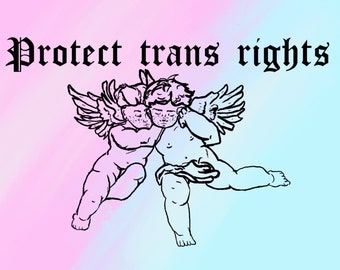 Protect Trans Rights Sticker