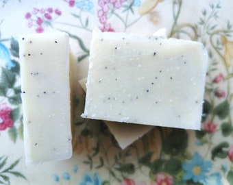 No Plastic Organic Vegan Palm Oil Free By Theguiltfreesoapery