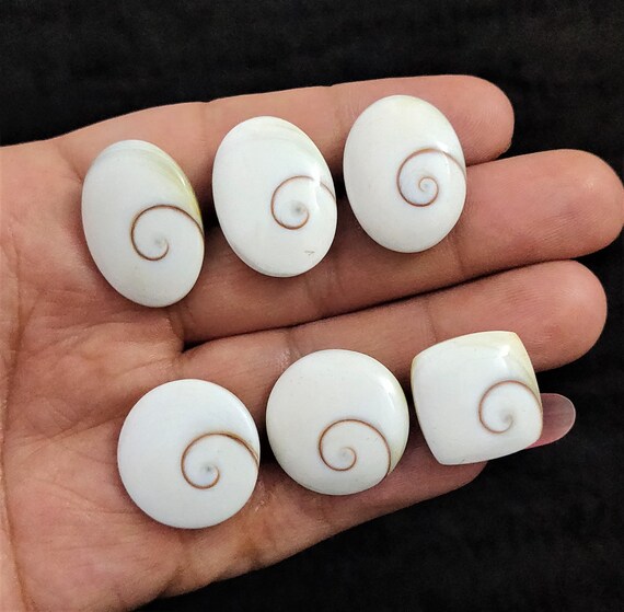 Jewelry & Beauty Shiva Eye Shell Gemstone Heart Shape Loose Shiva Eye ...