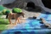 Large play mat made of felt with cave, meadow, river, stones, bushes, hay for the animals and two fir trees 