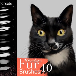 May include: A set of 10 Procreate brushes for creating realistic fur. The brushes are shown on a white background with a black cat's face in the background. The brushes are labeled with names like "Fur 1", "Fur 2", "Furry Brush 4", and "Hair 1".