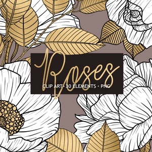 Roses blanches Clip Art, décor de cuisine, fleur Clip Art, dessin de Rose, planificateur numérique, planificateur, emballage, décor Floral blanc, PNG isolé
