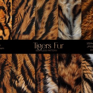 May include: Ten seamless patterns of tiger fur in various shades of orange, black, and white. The patterns are 1024x1024 pixels and 300 dpi. Made by OverDream.