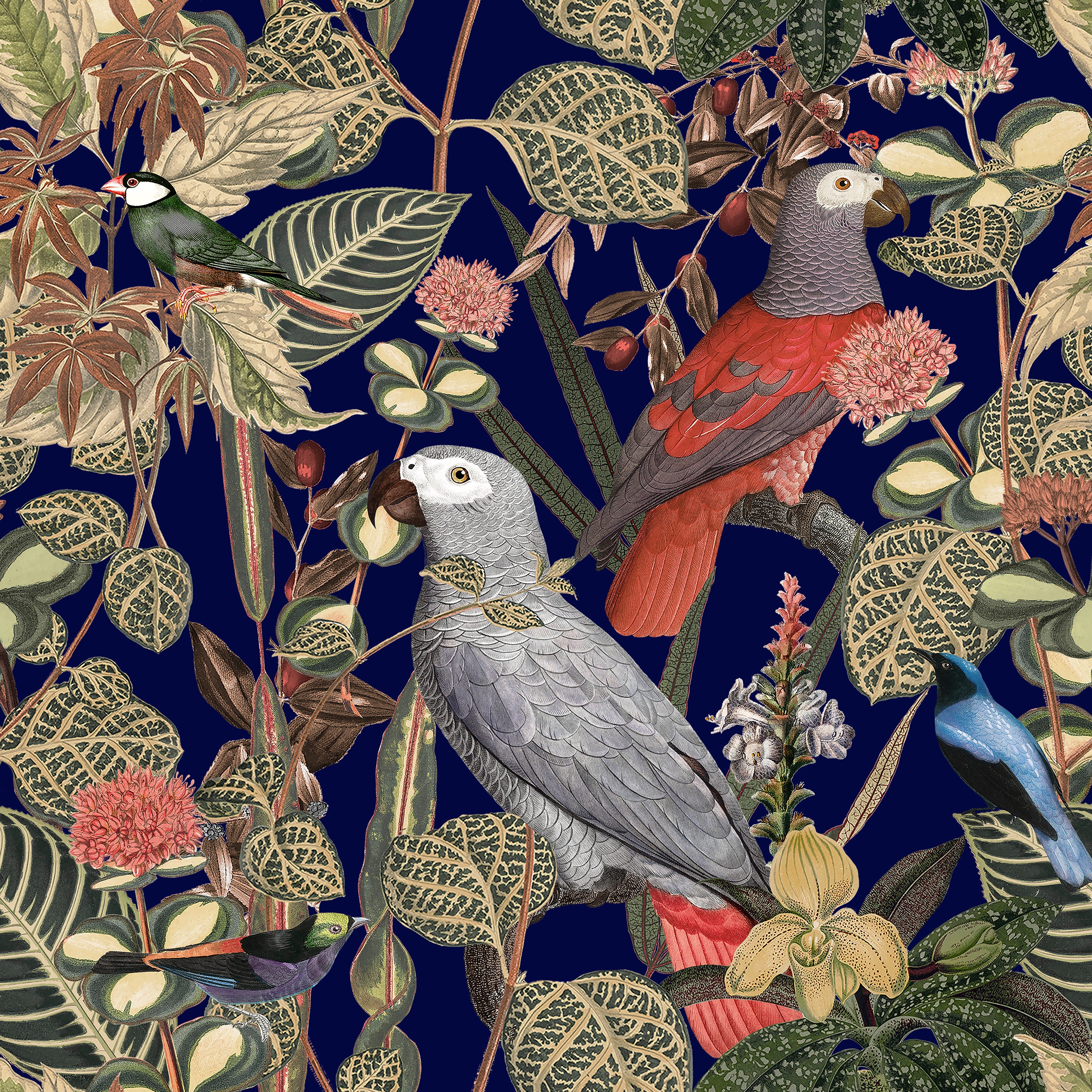 Parrot Textured Parrot Seamless Pattern, Texture Pack, Printable Wrapping Paper ...