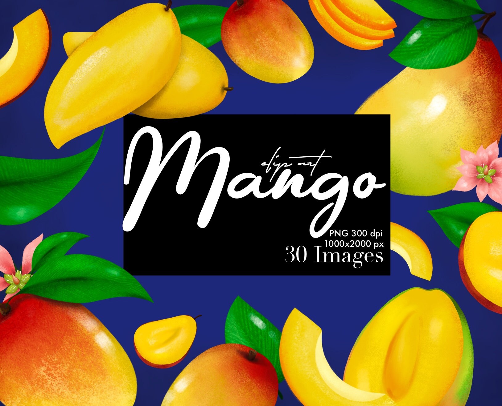 MANGO Clip Art, Decoración de cocina, Friut Clip Art, Dibujo de alimentos,  Pegatinas veganas, Planificador digital, Planificador, Embalaje, Frutas  exóticas, PNG aislado - Etsy México, image size:1628x1319