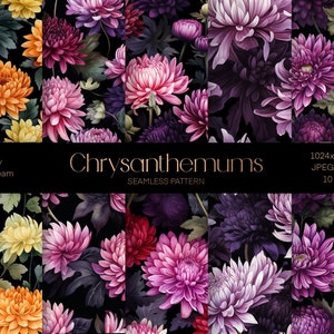 Może przedstawiać: Dziesięć cyfrowych wzorów bez szwów przedstawiających chryzantemy w różnych odcieniach fioletu, różu i pomarańczy na czarnym tle. Tekst "Chrysanthemums Seamless Pattern" jest wyświetlany w środku obrazu.