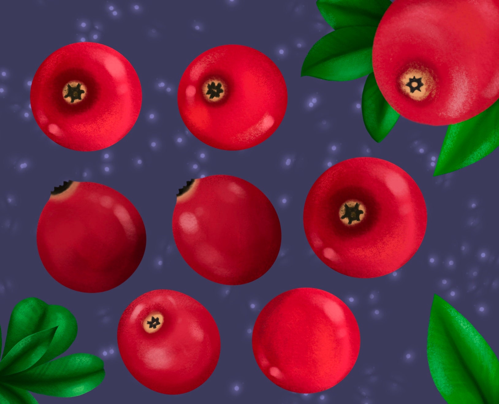 Cranberries Clip Art Berry Decor Clip Art Berry garland Etsy España