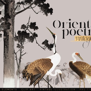 ClipArt vintage Giappone, Illustrazione vintage, ClipArt di insetti, Clipart di uccelli, Pianificatore digitale, Illustrazione PNG, Arte della vecchia scuola