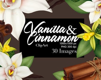 Cinnamon and Vanilla Set, Kitchen Decor, Spices Clip Art, Vanilla Flower Drawing, Planner Stickers, Digital Planner, Planner, Packaging, PNG