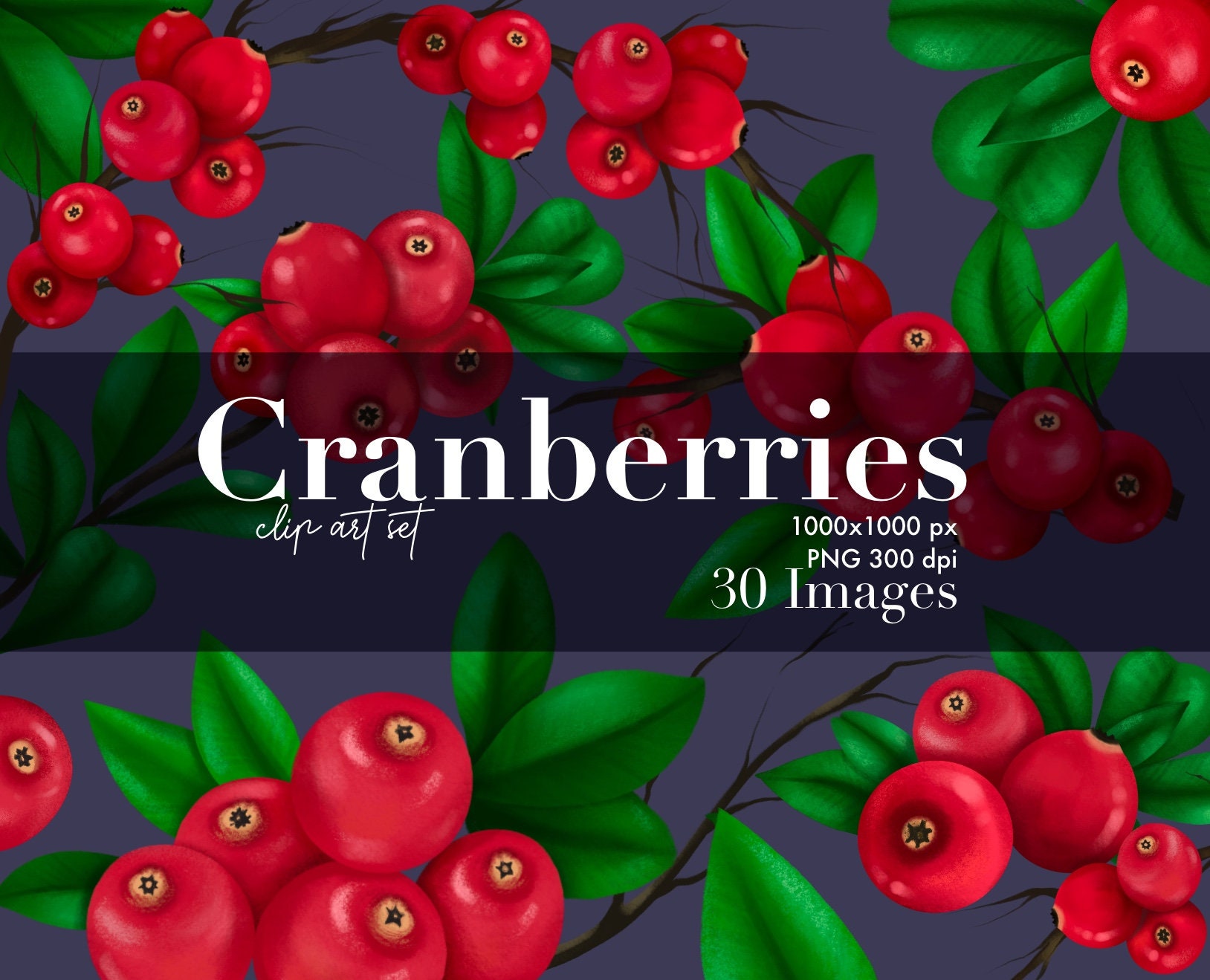 Cranberries Clip Art Berry Decor Clip Art Berry garland Etsy España