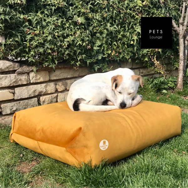 Luxury Silky Velvet Bean Bag Cover: Custom  Lounger for Adults, Kids, and Stuffed Animal Storage - A Perfect Gift