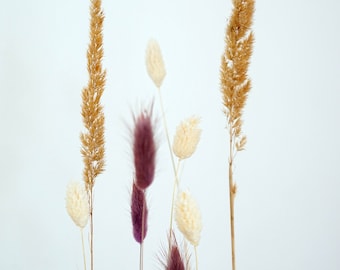 Wooden strip for dried flowers made of walnut wood