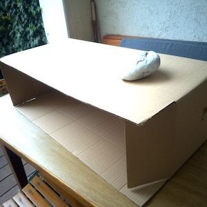 Peut inclure: Une grande bo&icirc;te en carton ouverte, de couleur brun clair naturel. Une petite pierre grise claire repose sur la surface sup&eacute;rieure. La bo&icirc;te est pos&eacute;e sur une table en bois, avec un aper&ccedil;u de verdure en arri&egrave;re-plan.