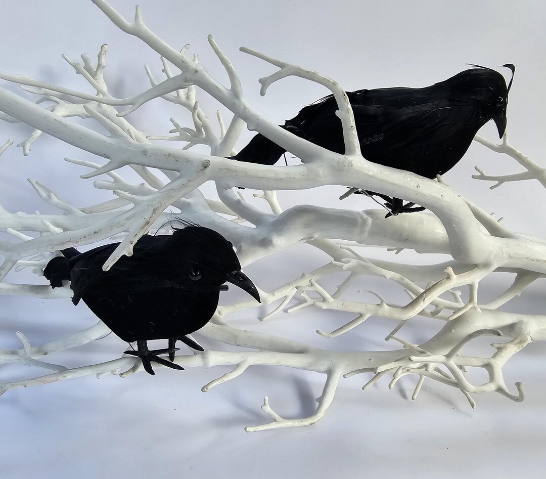 Fake Crows Pair of Baby Artificial Feather Black Crows Ravens Fake Birds Halloween ...