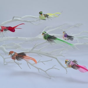 6 Small Artificial Rainbow Fake Streamer Tail Feathered Foam Clip On Birds