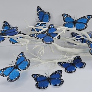 Puede incluir: Una colección de decoraciones de mariposas azules con detalles en blanco y negro, posadas sobre ramas blancas. Las mariposas tienen un patrón de alas detallado y están dispuestas para crear una exhibición decorativa. El fondo es blanco liso.