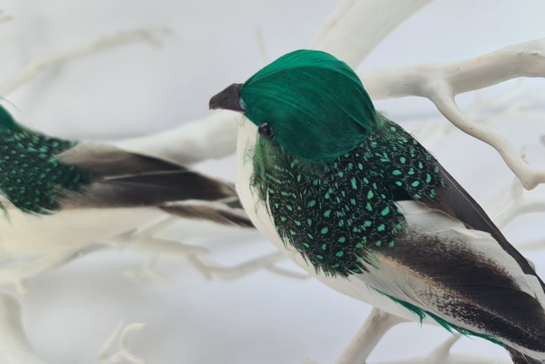 3 fausses plumes artificielles vertes et blanches pour le jardin, oiseaux à clipser pour la maison, décoration florale, décoration artisanale, oiseau image 9