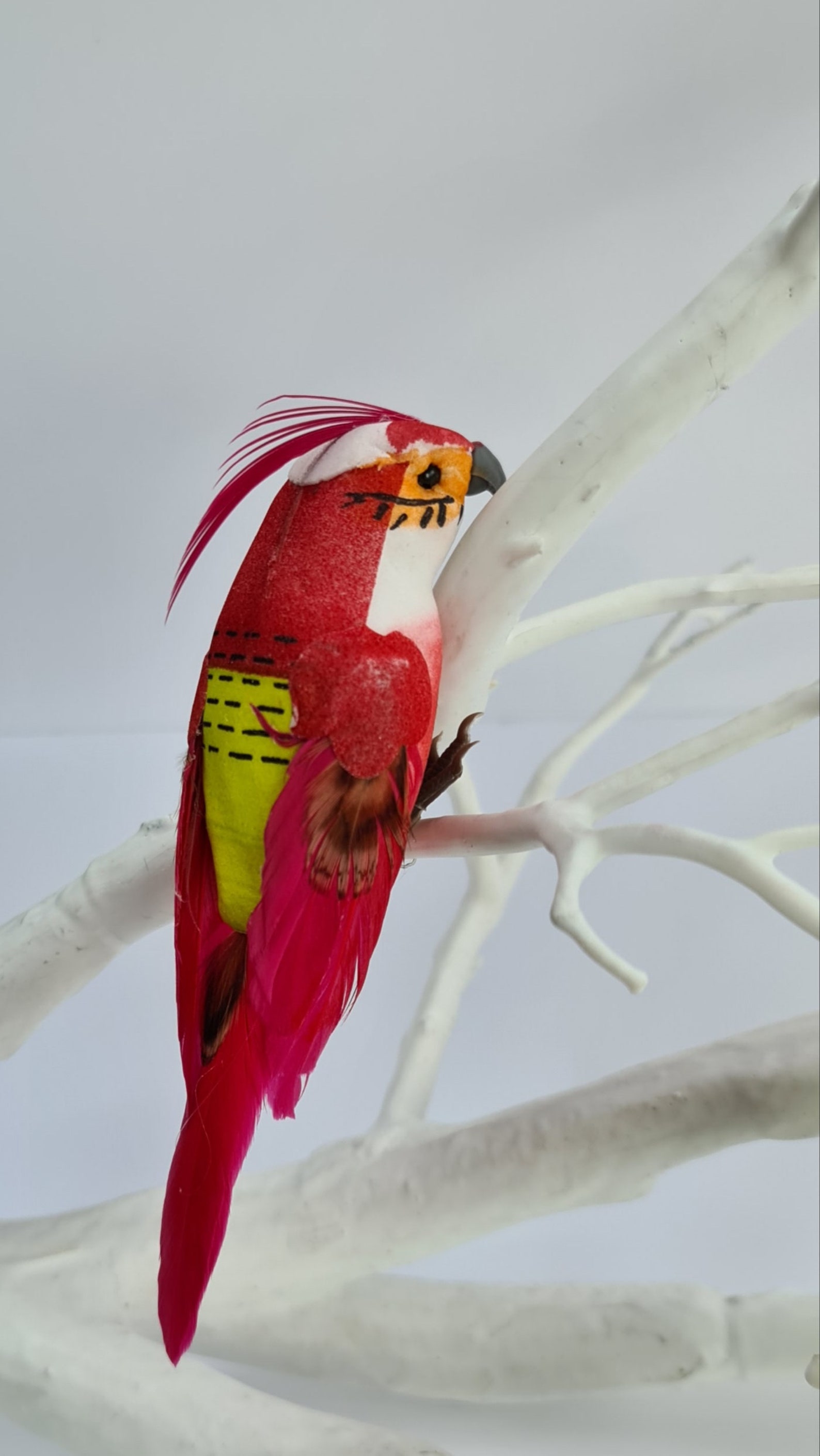 6 Rainbow Artificial Foam Feather Tropical Parrot Craft Birds Etsy