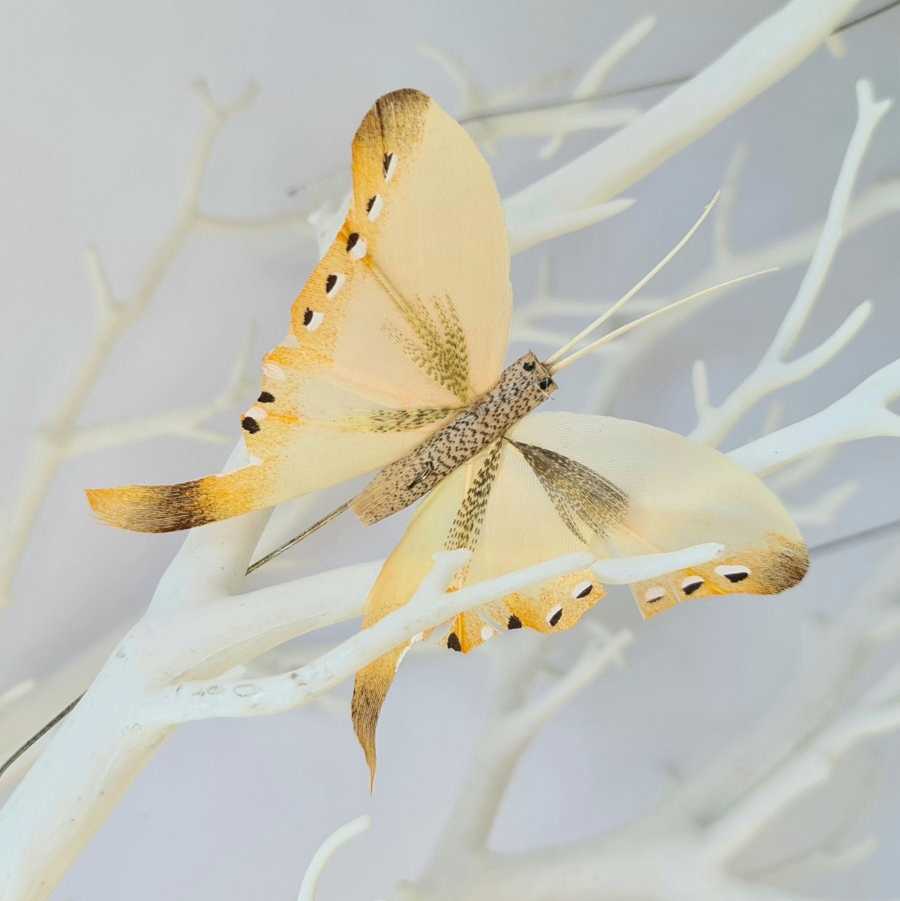 6 Artificial Feather Butterfly Butterflies Craft Home Wall Art Neon 3D  Decor