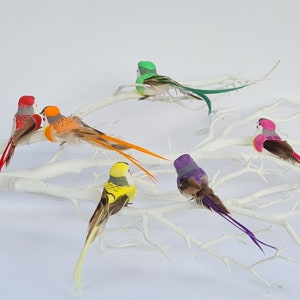 6 Artificial Bright Rainbow Fake Feathered Foam Clip On Birds Flower Hair Hat Party Decoration Craft Topper