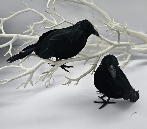 Halloween Realistic Crow Black Feather Crow Halloween Feathered Crows, 6 main image 4