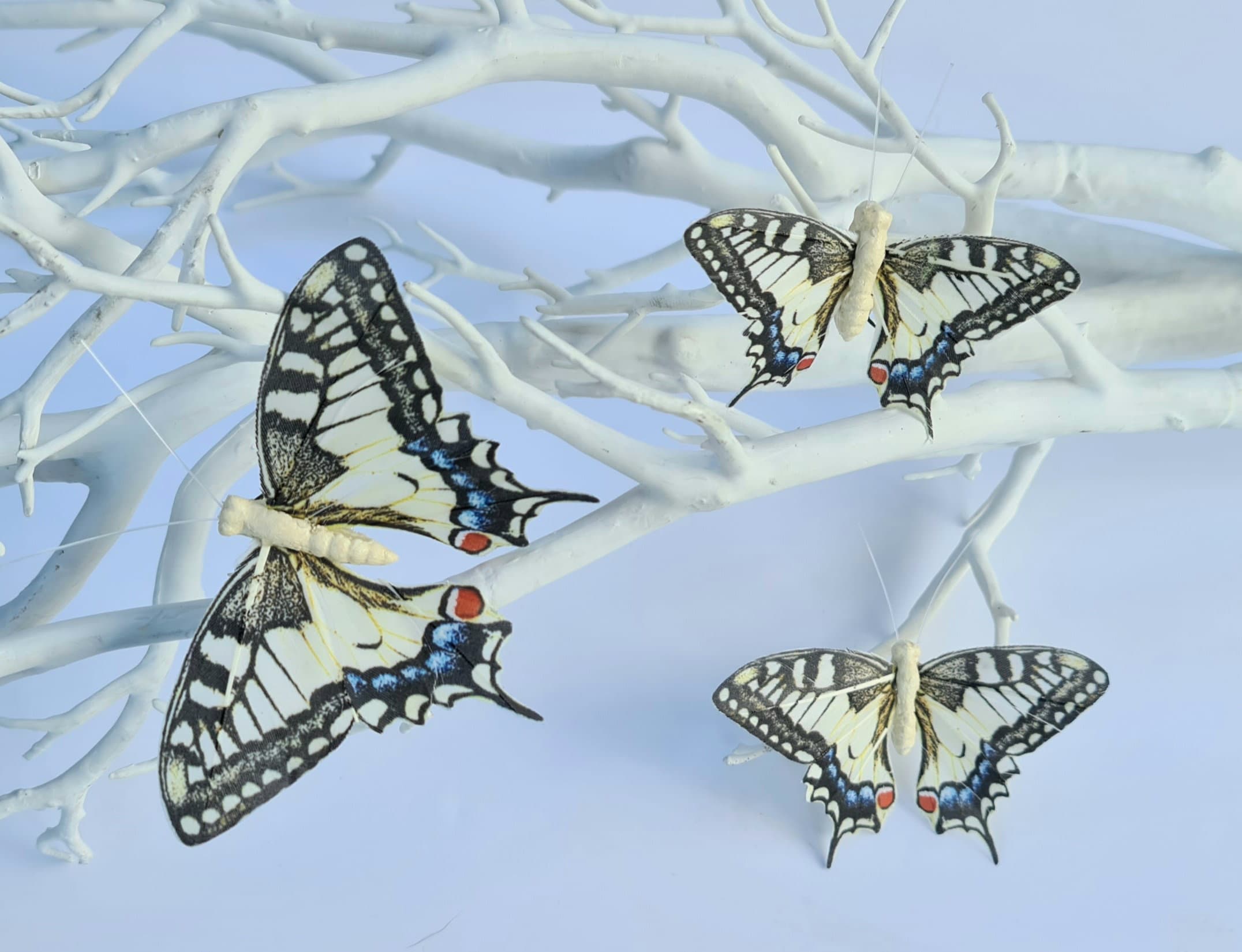 Juego de 12 mariposas de plumas monarca con purpurina en alambre para  arreglos florales y decoraciones de bricolaje (negro, blanco/dorado)