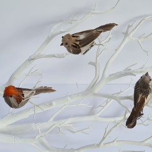 3 Artificial Woodland Natural Feathered Jardim Espuma Pássaros Flor Casa Árvore Casamento Decoração Artesanato