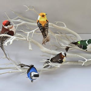 May include: Five colourful, feathered birds perched on a white, twig-like branch. The birds are made of fabric and have realistic details. The birds are a variety of colours, including red, yellow, blue, green, and brown.