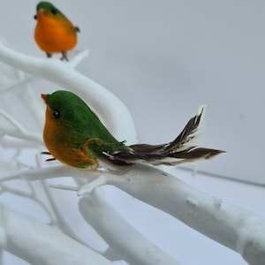 May include: Two small green and orange birds with brown and white feathers perched on a white branch.