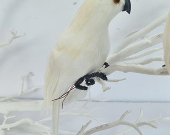 Artificial White Cockatoo Birds: Feathered Tropical Decor (set of