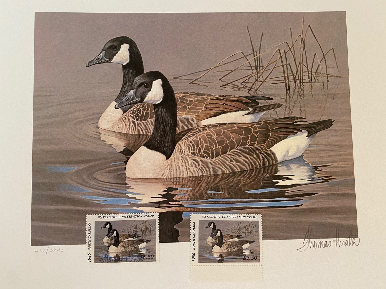 1986 North Carolina Duck Stamp Print with Original Folder and Etsy Italia