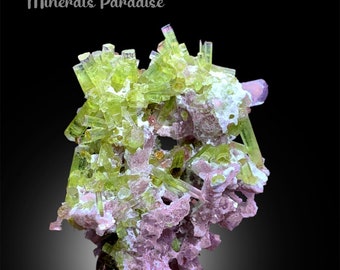 May include: A cluster of green and pink crystals on a white matrix. The crystals are long and slender, and they are arranged in a random pattern. The matrix is rough and textured.