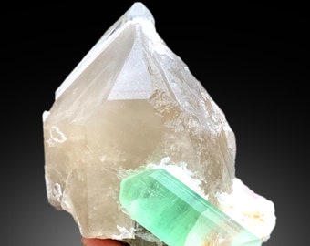 最高品質の美しい天然13.7グラムのスモーキークォーツとバイカラー