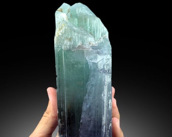 Natural Terminated Bicolor Top Grade Kunzite Crystal From Afghanistan - 1475 gram