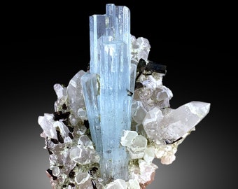 May include: A cluster of aquamarine crystals with a light blue color, surrounded by clear quartz crystals and black tourmaline crystals.