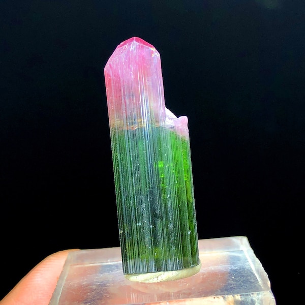 Natural Terminated Bicolor Tourmaline Crystal from Paproke Afghanistan - 22.35 cts