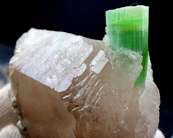 Natural Tourmaline Crystal on Quartz Mineral Specimen From Afghanistan - 78 gram