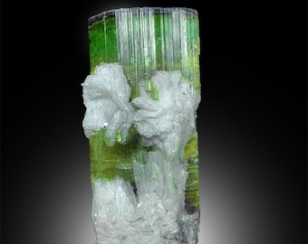 Tourmaline Crystal, Natural Tourmaline with Albite Mineral Specimen from Afghanistan - 245 g,  85*40*40 mm