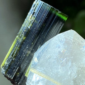 May include: A green and black tourmaline crystal resting on a clear quartz crystal.