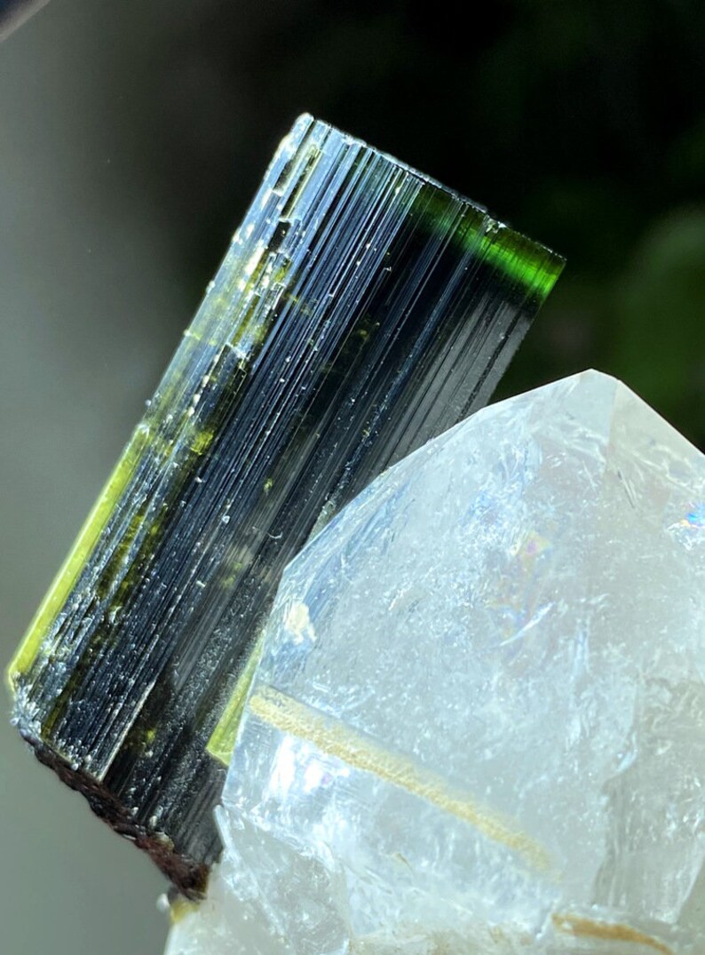 May include: A green and black tourmaline crystal resting on a clear quartz crystal.