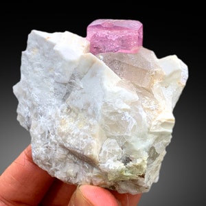 May include: A pink tourmaline crystal on a white matrix. The crystal is a cube shape with a smooth, shiny surface. The matrix is rough and textured.
