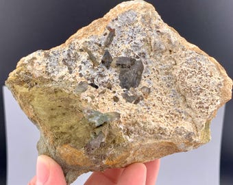 Rare Black Anatase Crystal With Chlorine Quartz On Matrix From Pakistan - 506 Grams