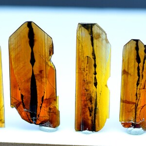 May include: Five brown and black crystals with a striated pattern. The crystals are arranged in a row on a white surface.