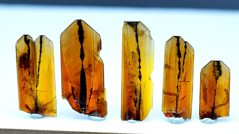 May include: Five brown and black crystals with a striated pattern. The crystals are arranged in a row on a white surface.