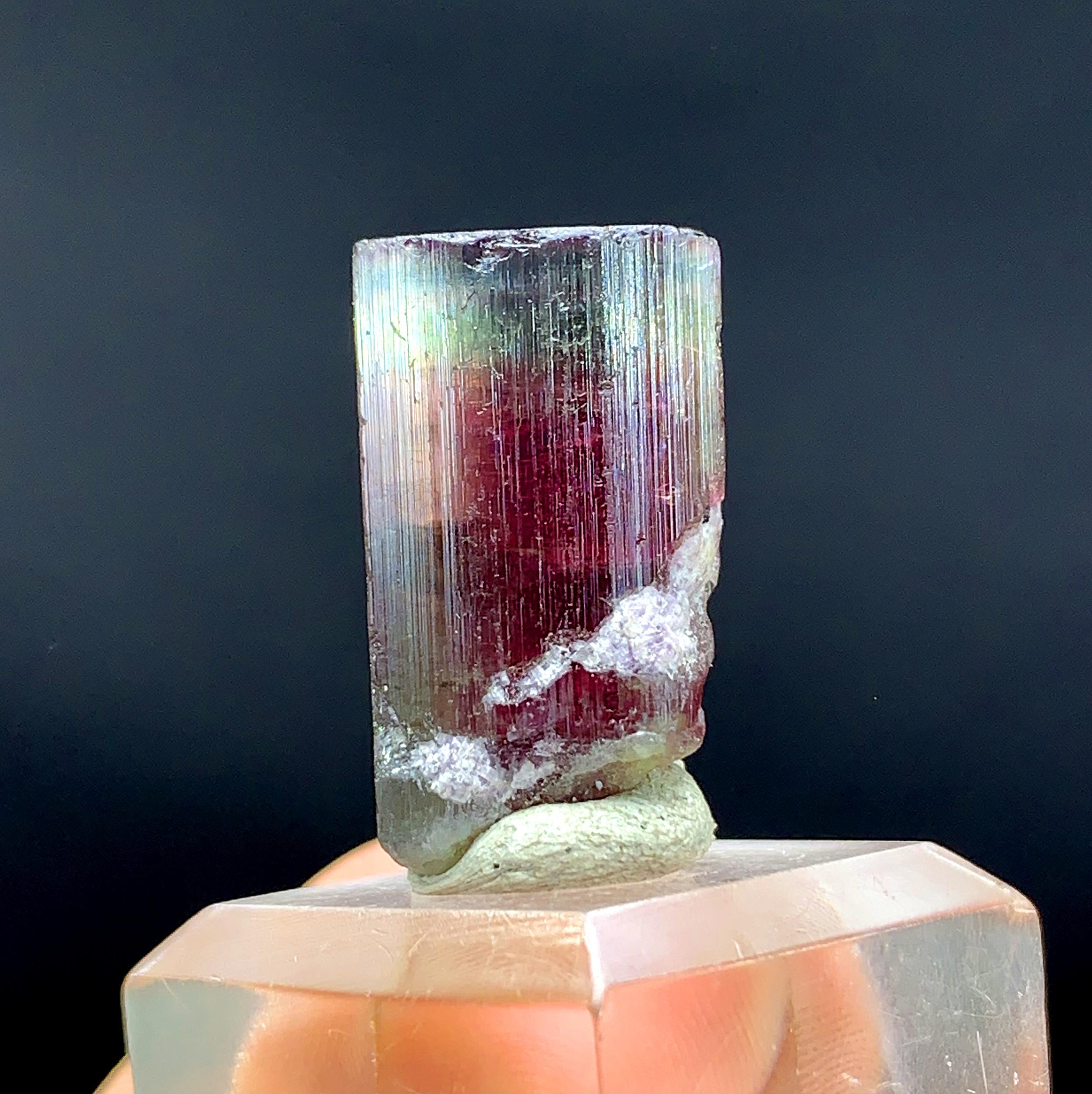 Tricolor Watermelon Tourmaline Crystal From Paprok Afghanistan