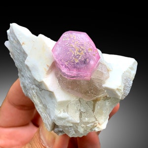 May include: A pink tourmaline crystal with a hexagonal shape, perched atop a white matrix of quartz crystals.