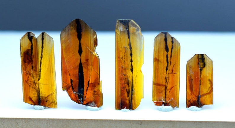 May include: Five brown and black crystals with a striated pattern. The crystals are arranged in a row on a white surface.