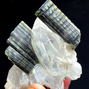 May include: A cluster of green and black tourmaline crystals on a clear quartz matrix. The tourmaline crystals are long and slender, with a striated surface. The quartz matrix is clear and translucent.