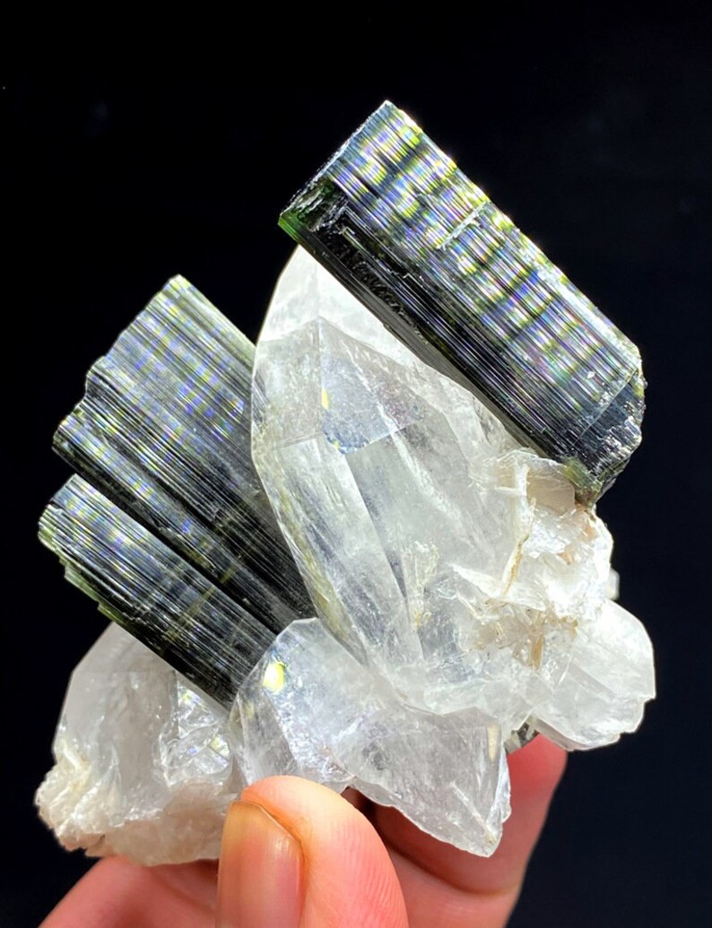 May include: A cluster of green and black tourmaline crystals on a clear quartz matrix. The tourmaline crystals are long and slender, with a striated surface. The quartz matrix is clear and translucent.