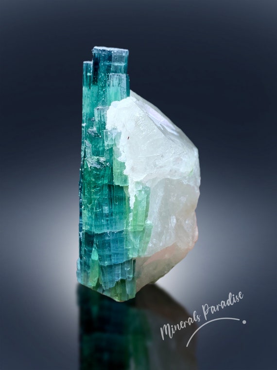 Blue Tourmaline Crystals on Quartz Specimen Tourmalines Cluster
